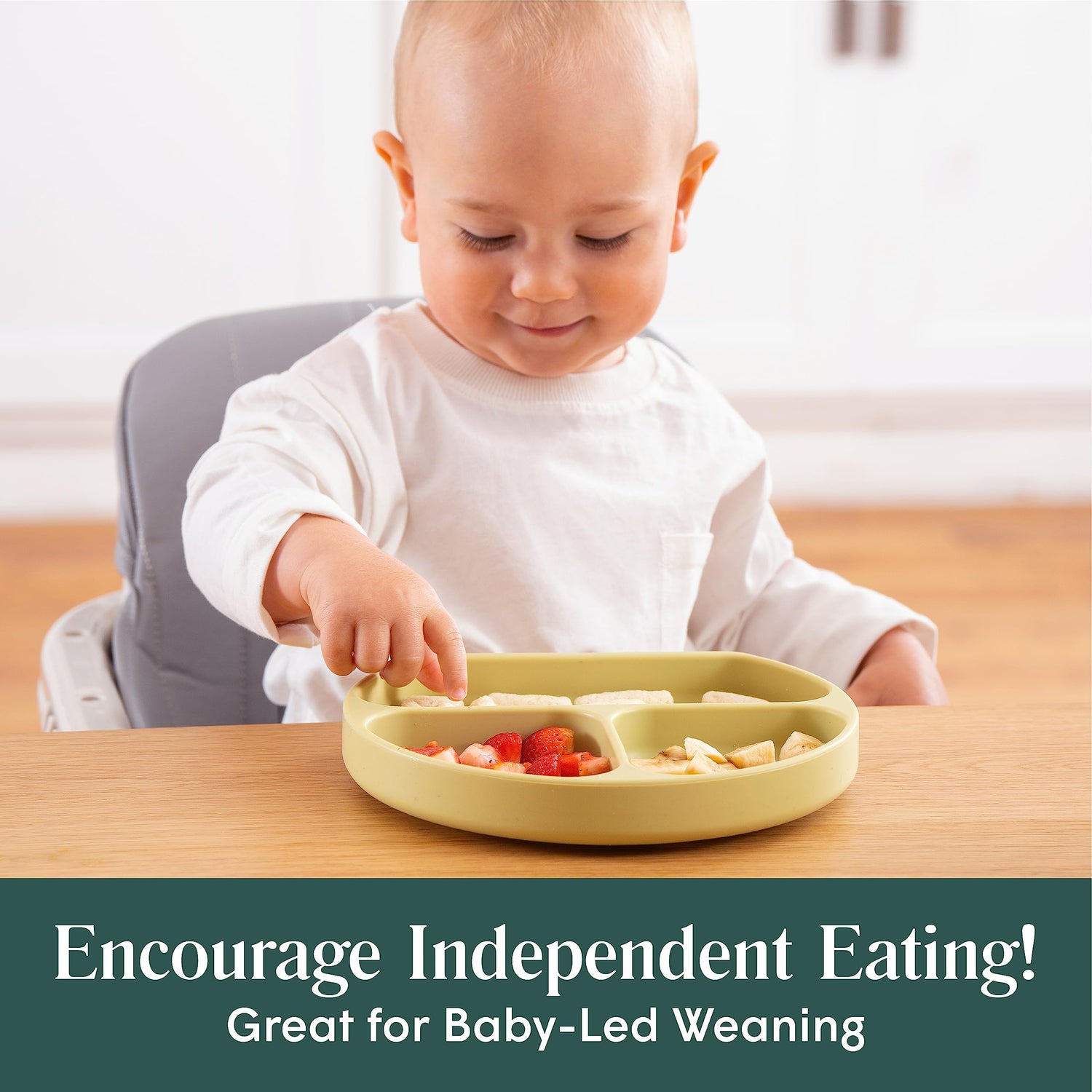 Baby Suction Plates - Natemia