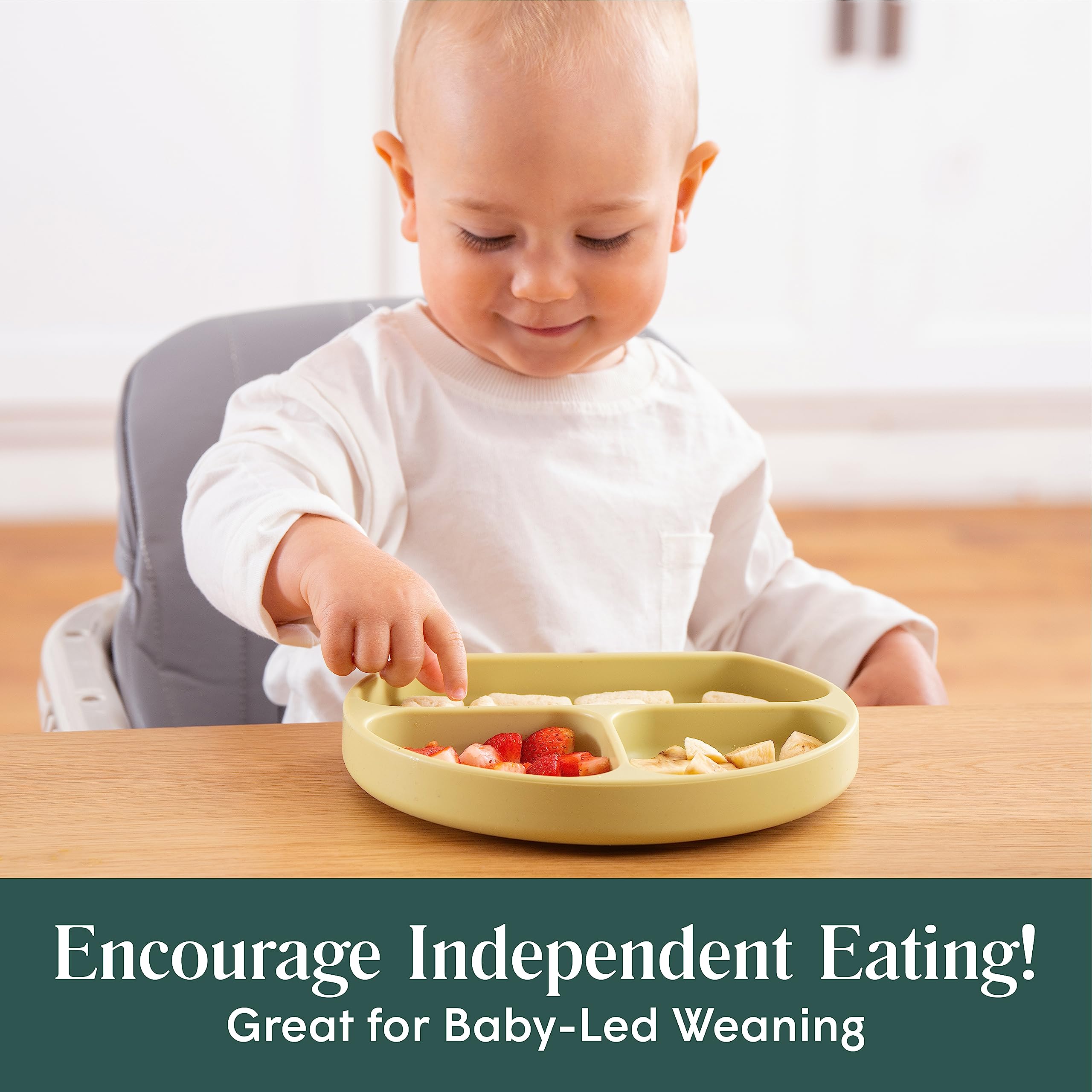 Baby Suction Plates - Natemia