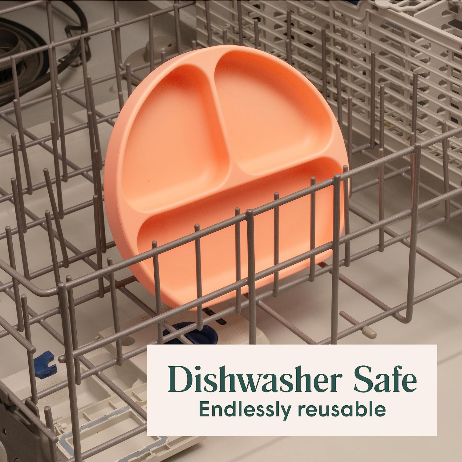 Baby Suction Plates - Natemia