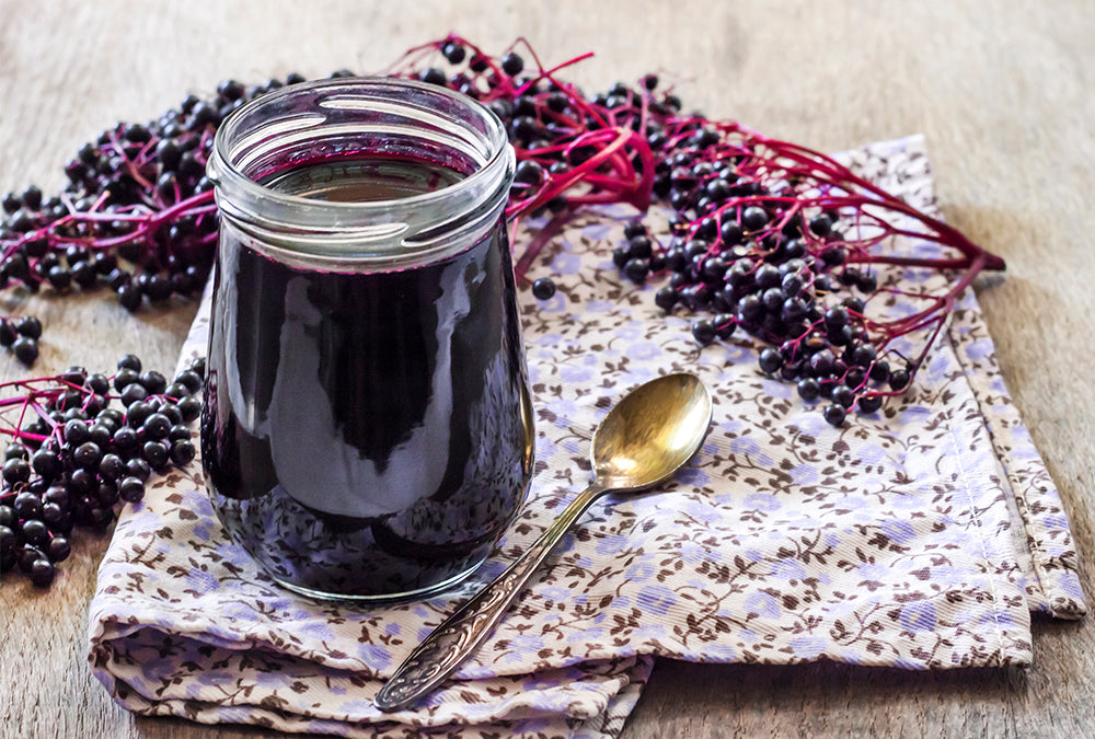 Embracing the Power of Elderberry for Your Little Ones