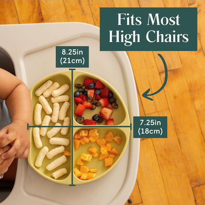 Baby Suction Plates - Natemia