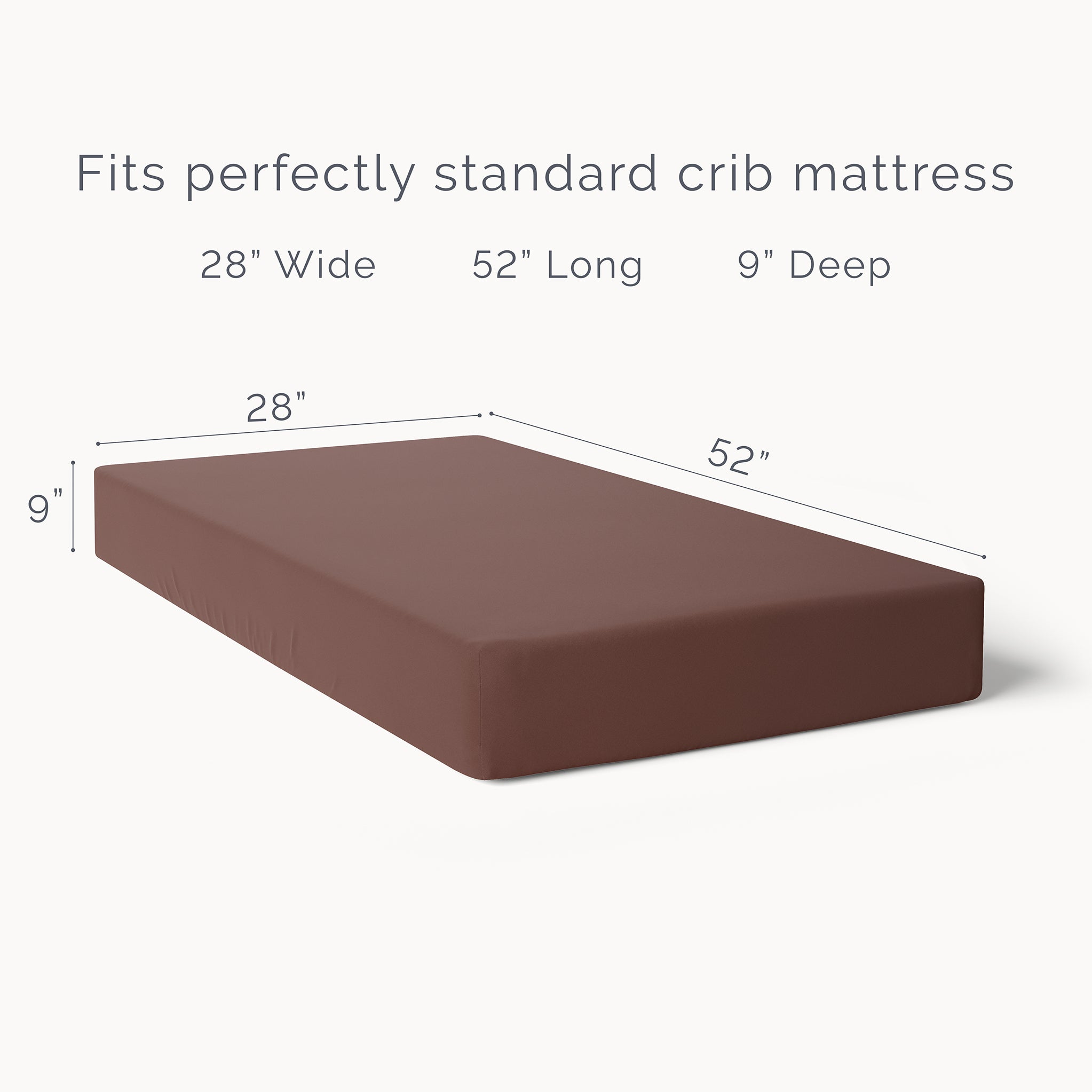 Cinnamon 2024 crib sheet